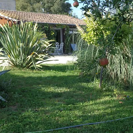 Feriehus Du Mas Gibert A Entre Nimes Montpellier Et La 3 Etoiles